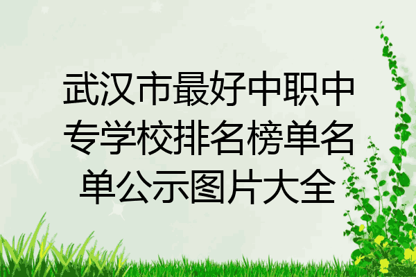 武汉市最好中职中专学校排名榜单名单公示图片大全