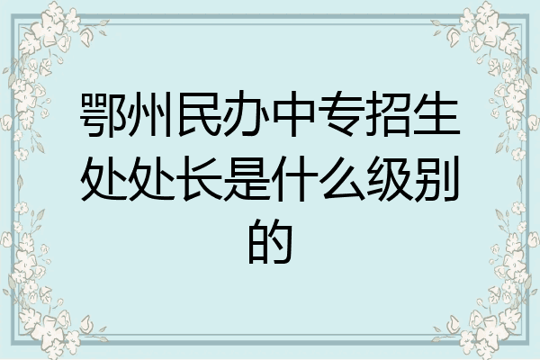 鄂州民办中专招生处处长是什么级别的