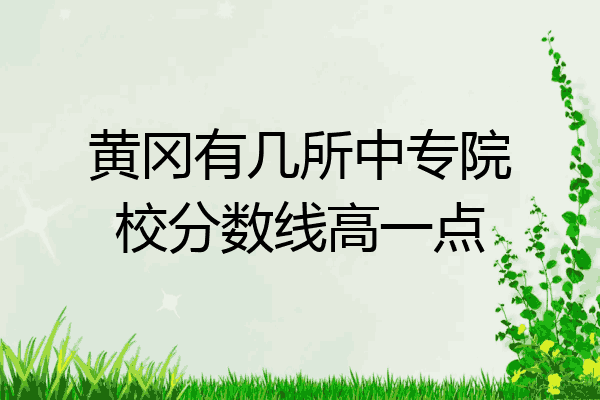 黄冈有几所中专院校分数线高一点