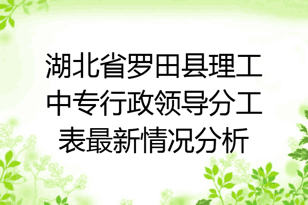 湖北省罗田县理工中专行政领导分工表最新情况分析