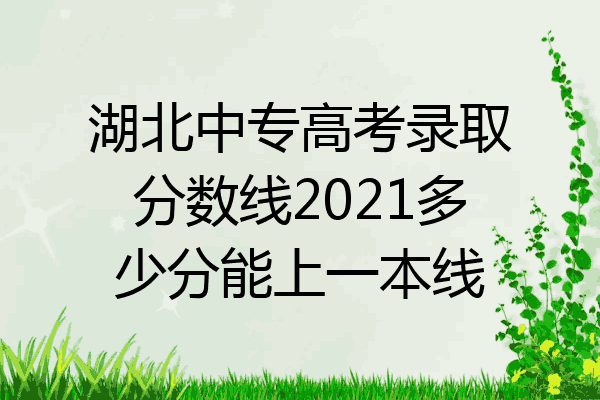 湖北中专高考录取分数线2021多少分能上一本线