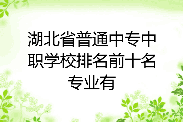 湖北省普通中专中职学校排名前十名专业有