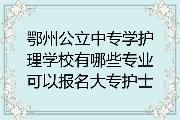 鄂州公立中专学护理学校有哪些专业可以报名大专护士