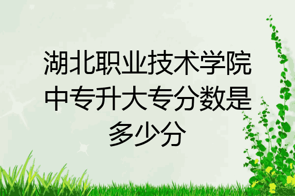 湖北职业技术学院中专升大专分数是多少分