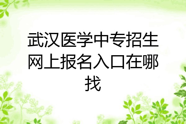 武汉医学中专招生网上报名入口在哪找