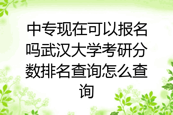 中专现在可以报名吗武汉大学考研分数排名查询怎么查询