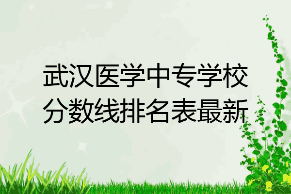 武汉医学中专学校分数线排名表最新