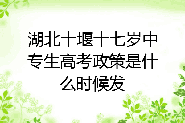 湖北十堰十七岁中专生高考政策是什么时候发