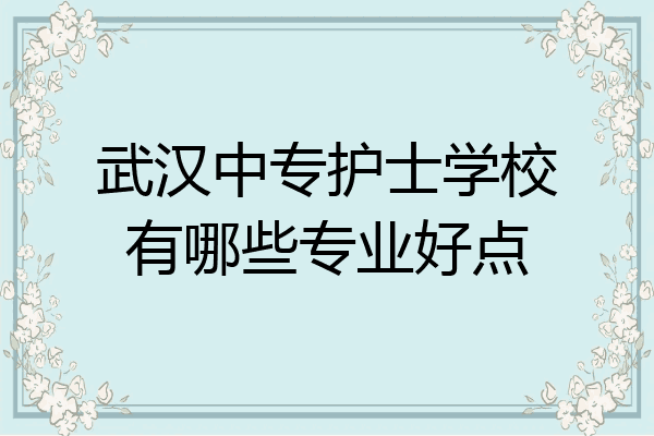 武汉中专护士学校有哪些专业好点