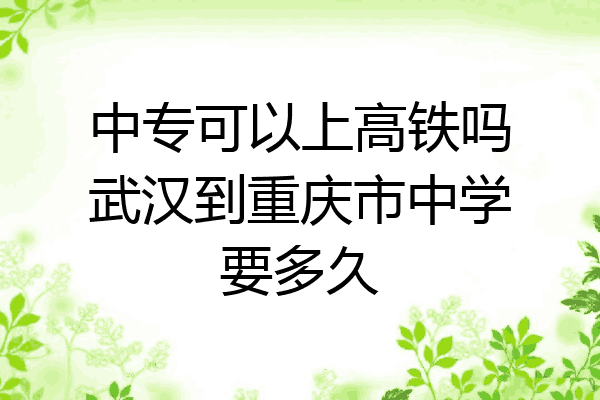 中专可以上高铁吗武汉到重庆市中学要多久