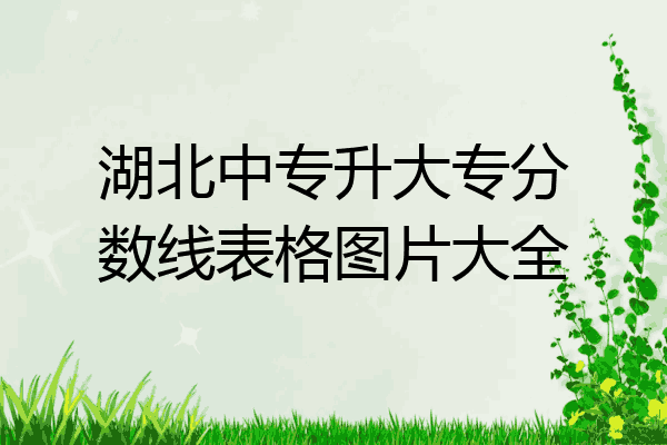 湖北中专升大专分数线表格图片大全