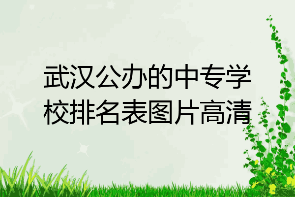 武汉公办的中专学校排名表图片高清