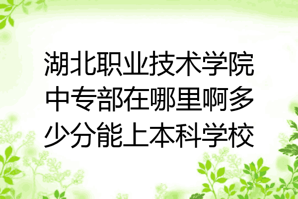 湖北职业技术学院中专部在哪里啊多少分能上本科学校