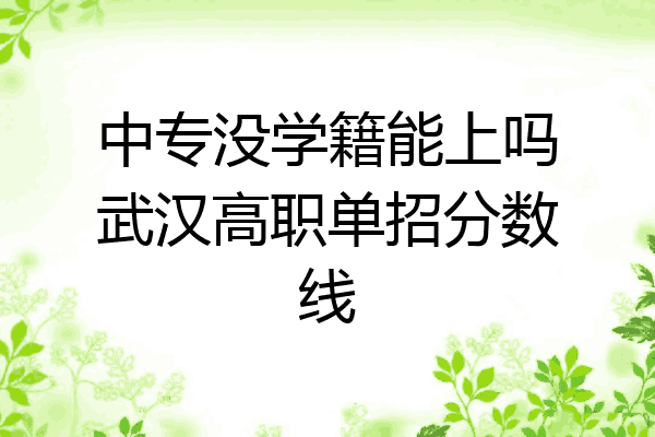 中专没学籍能上吗武汉高职单招分数线