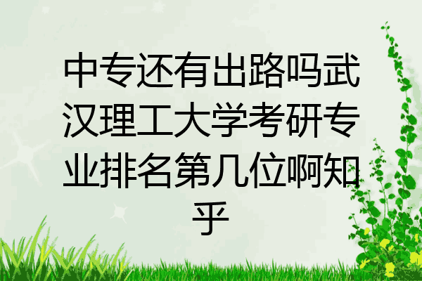 中专还有出路吗武汉理工大学考研专业排名第几位啊知乎