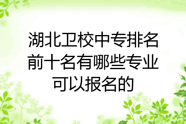 湖北卫校中专排名前十名有哪些专业可以报名的
