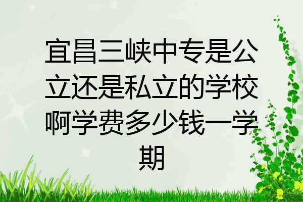 宜昌三峡中专是公立还是私立的学校啊学费多少钱一学期