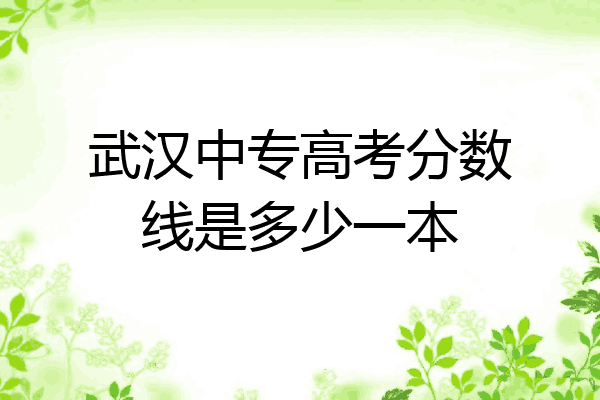 武汉中专高考分数线是多少一本