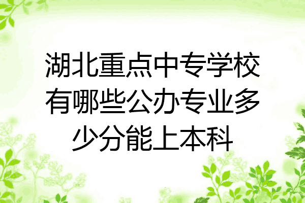 湖北重点中专学校有哪些公办专业多少分能上本科