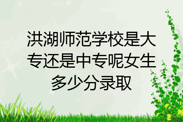 洪湖师范学校是大专还是中专呢女生多少分录取