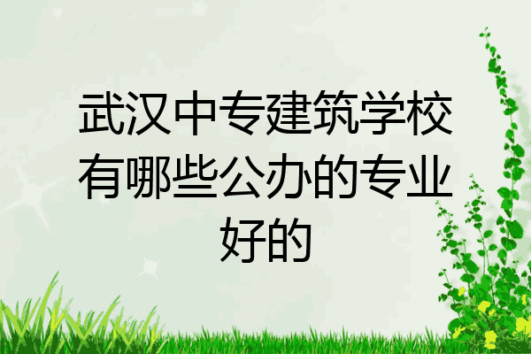 武汉中专建筑学校有哪些公办的专业好的