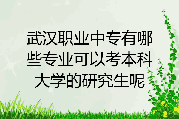 武汉职业中专有哪些专业可以考本科大学的研究生呢
