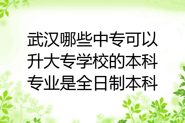 武汉哪些中专可以升大专学校的本科专业是全日制本科