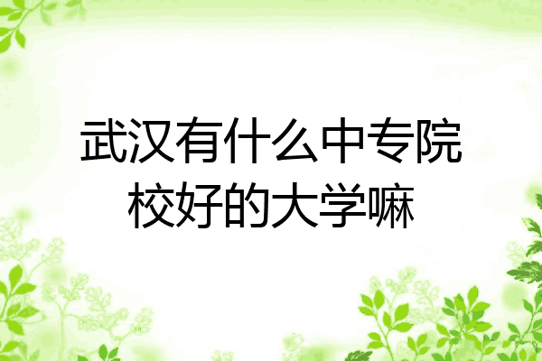 武汉有什么中专院校好的大学嘛