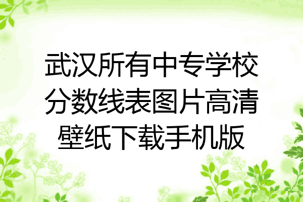 武汉所有中专学校分数线表图片高清壁纸下载手机版