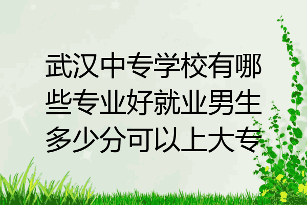 武汉中专学校有哪些专业好就业男生多少分可以上大专