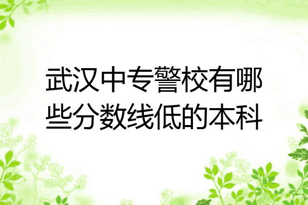 武汉中专警校有哪些分数线低的本科