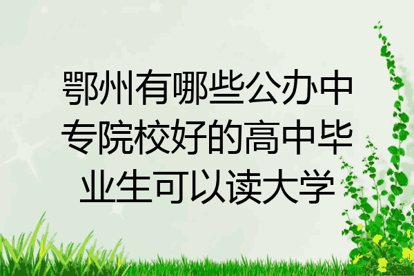 鄂州有哪些公办中专院校好的高中毕业生可以读大学