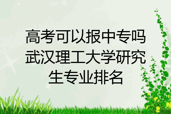 高考可以报中专吗武汉理工大学研究生专业排名