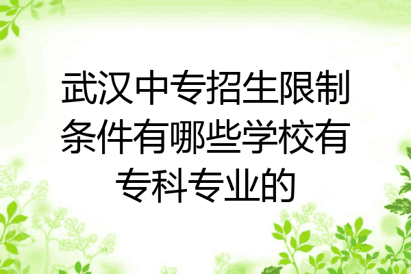 武汉中专招生限制条件有哪些学校有专科专业的