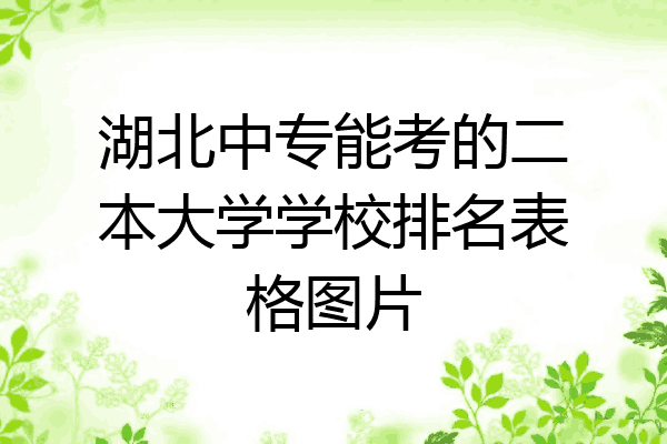 湖北中专能考的二本大学学校排名表格图片