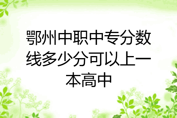 鄂州中职中专分数线多少分可以上一本高中