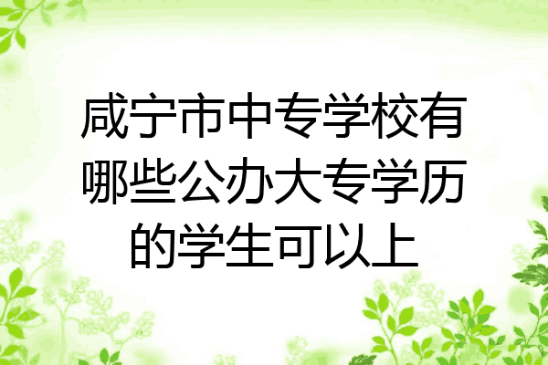 咸宁市中专学校有哪些公办大专学历的学生可以上