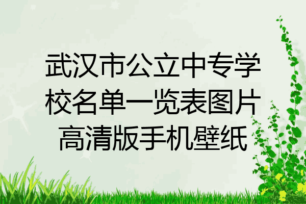 武汉市公立中专学校名单一览表图片高清版手机壁纸