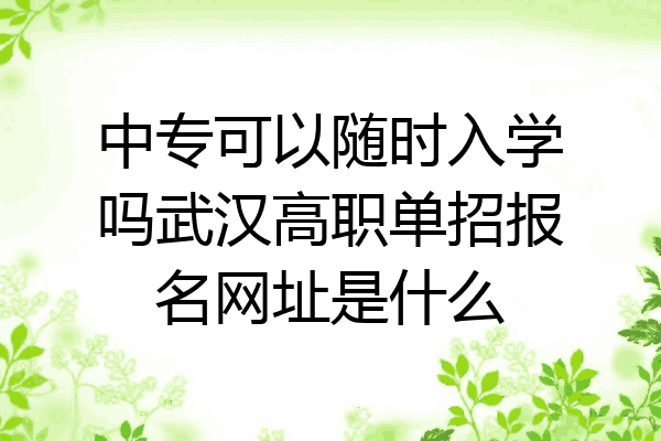 中专可以随时入学吗武汉高职单招报名网址是什么