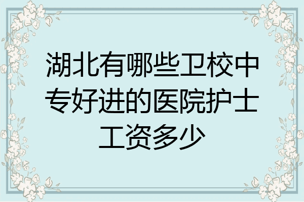 湖北有哪些卫校中专好进的医院护士工资多少