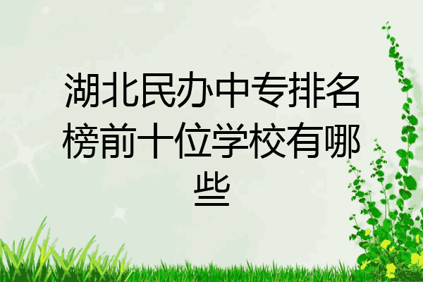 湖北民办中专排名榜前十位学校有哪些