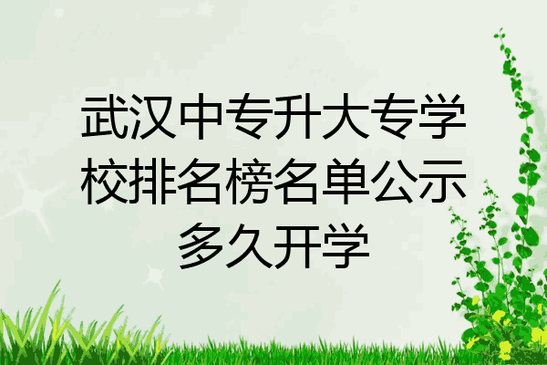 武汉中专升大专学校排名榜名单公示多久开学