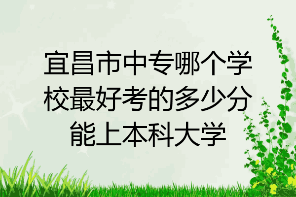 宜昌市中专哪个学校最好考的多少分能上本科大学