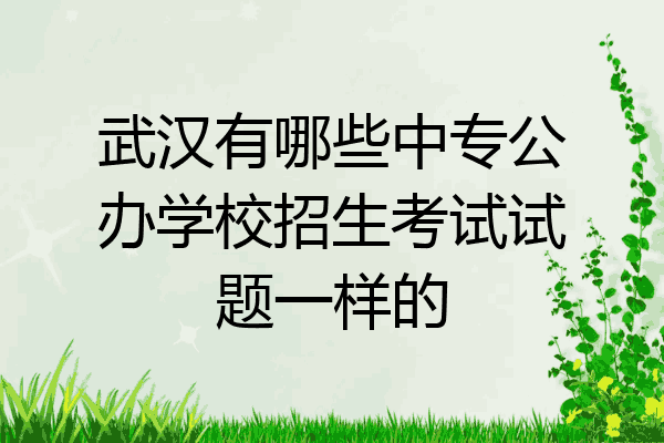 武汉有哪些中专公办学校招生考试试题一样的