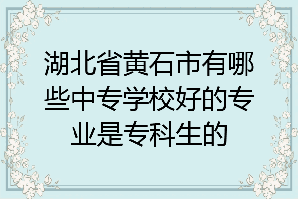 湖北省黄石市有哪些中专学校好的专业是专科生的
