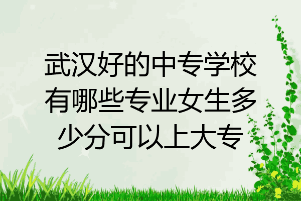 武汉好的中专学校有哪些专业女生多少分可以上大专