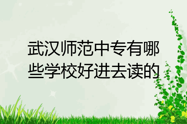 武汉师范中专有哪些学校好进去读的