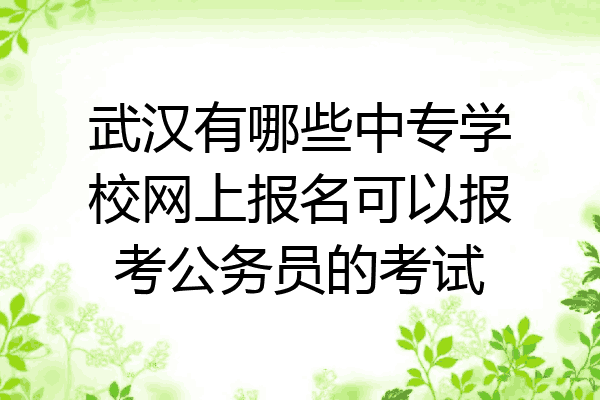 武汉有哪些中专学校网上报名可以报考公务员的考试
