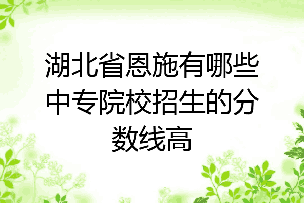 湖北省恩施有哪些中专院校招生的分数线高