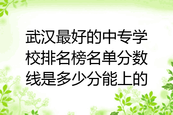 武汉最好的中专学校排名榜名单分数线是多少分能上的